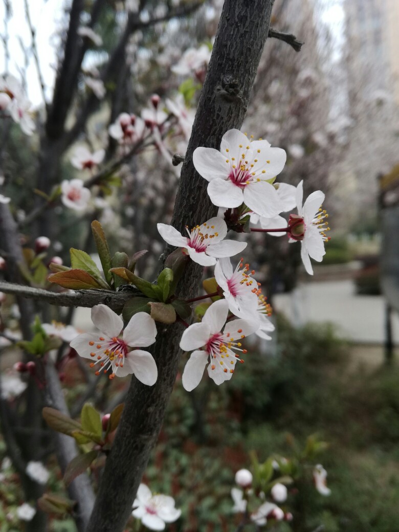 日历年和自然年的区别_日历年度是什么意思_98年日历