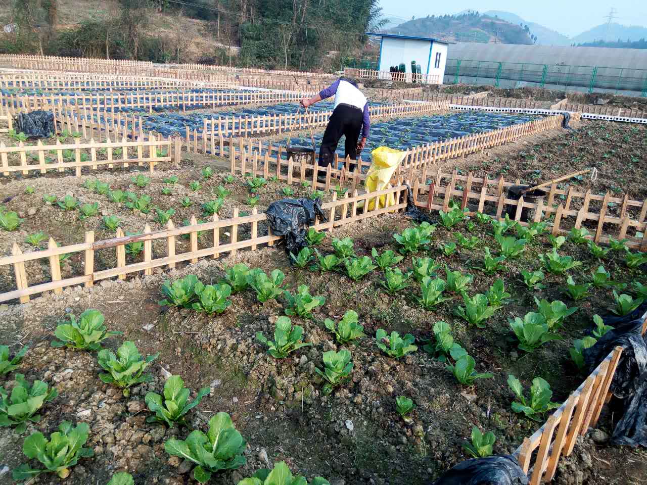 农场庄园中文版手机下载_农场庄园攻略_手机农场庄园游戏下载
