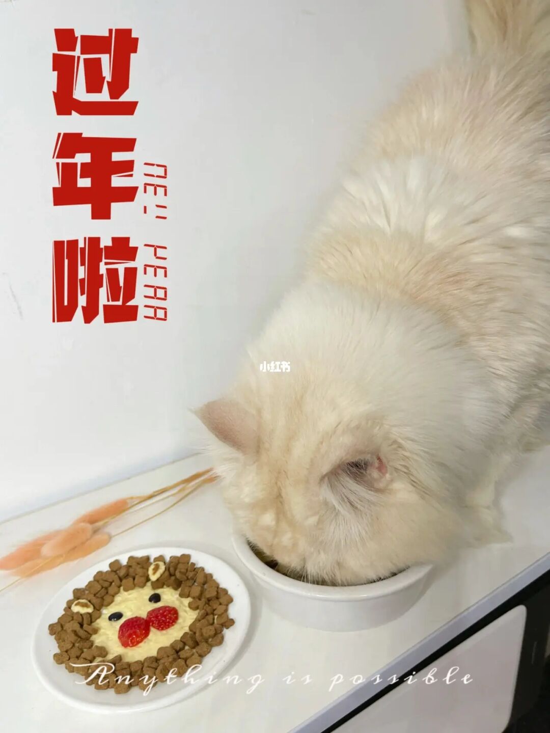 今年的春节放假_今年春节怎么放假_放假春节今年放假吗