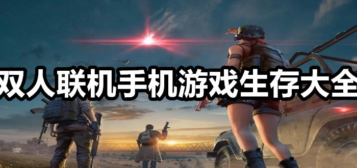 联机双人手机小游戏_手机游戏双人游戏联机_联机的双人手机小游戏