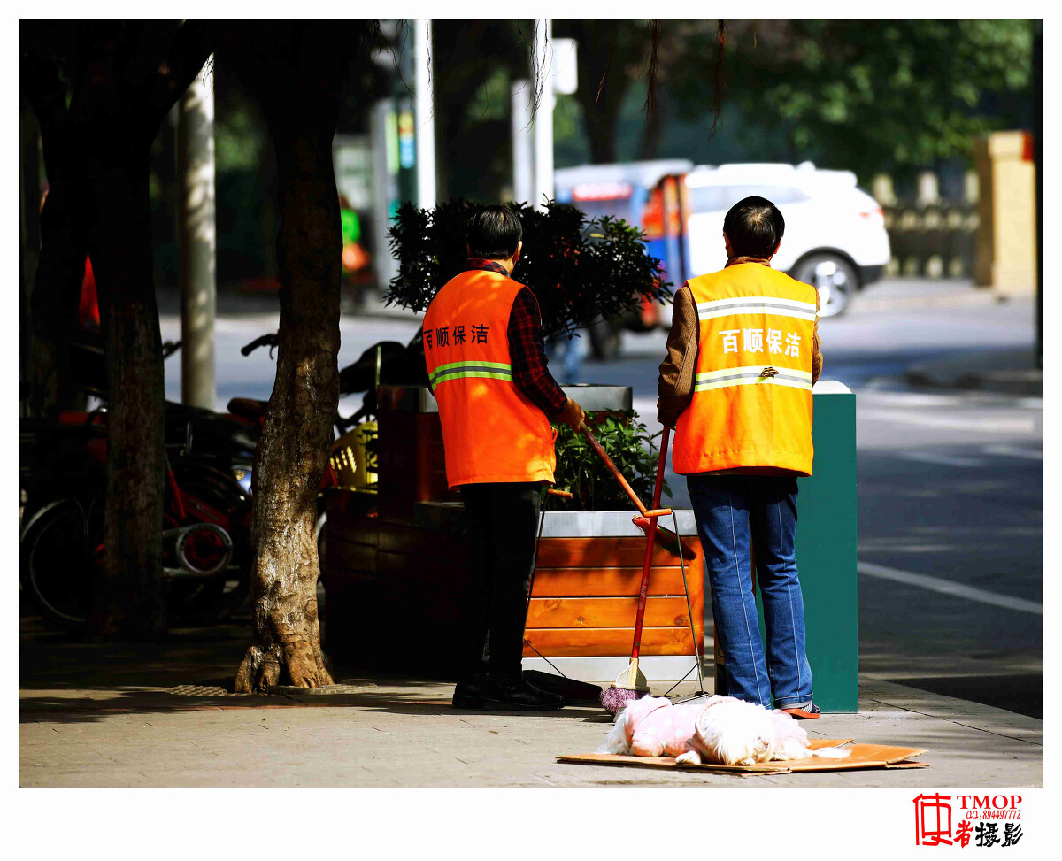 都市箱庭物语破解版_箱庭都市_都市箱庭物语攻略