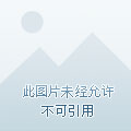 官服玩手机游戏会封号吗_手机玩官服游戏_玩游戏玩官服好还是玩渠道服好