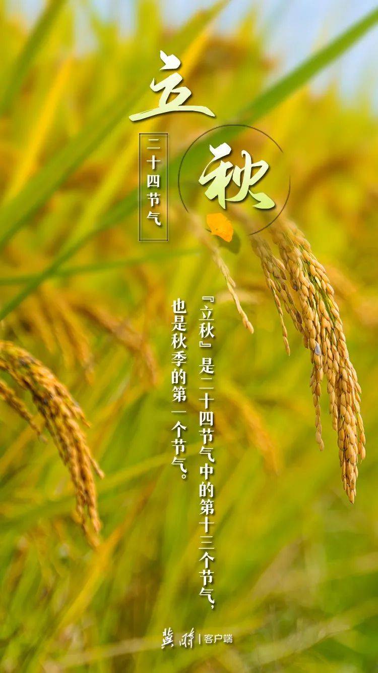 2022年立秋是哪天_立秋在2020年哪一天_立秋时间今年