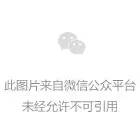 手机武极游戏怎么玩_手机游戏武极_武极好玩吗