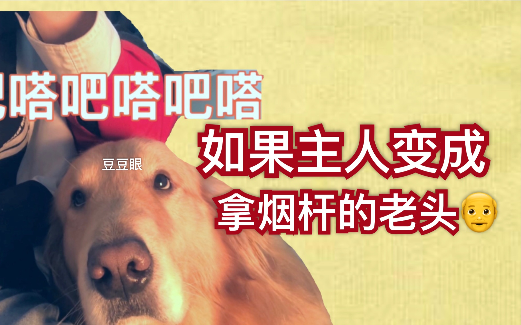 102真狗国语_102只斑点狗国语_102忠狗迅雷下载