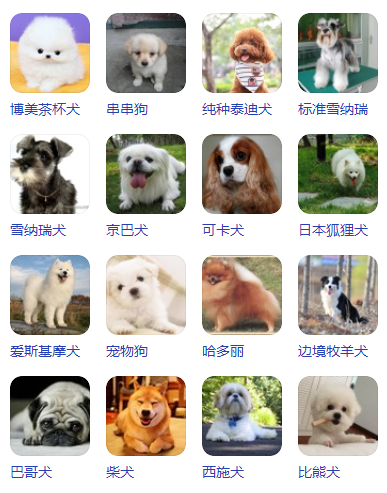 狗狗识别品种软件下载_识别狗狗品种软件_狗狗识别品种软件有哪些
