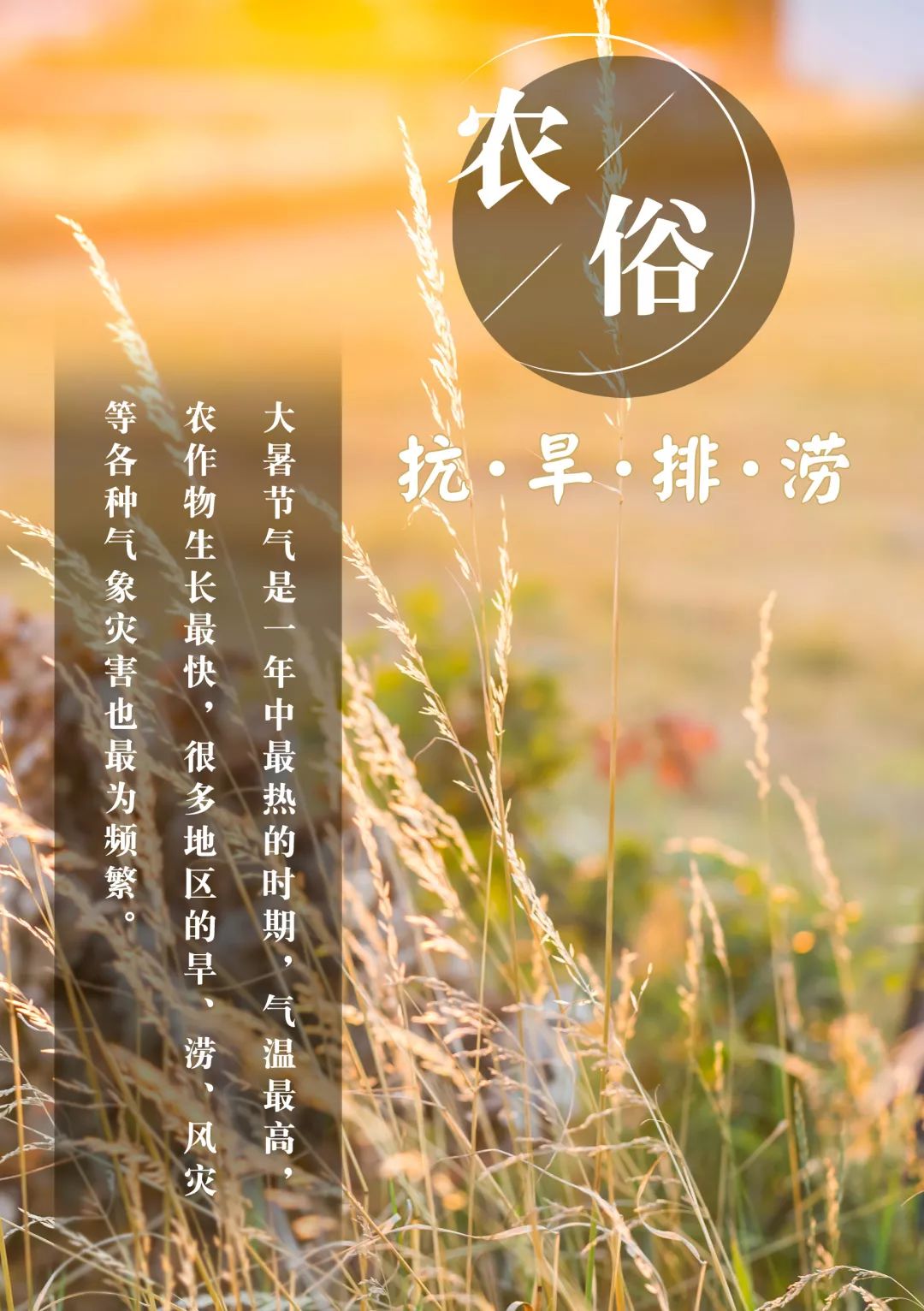 风俗节气大暑特点是什么_大暑节气的特点和风俗_风俗节气大暑特点有哪些