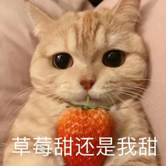 手机游戏动态表情包下载_动态表情app软件叫什么_动态表情包下载免费