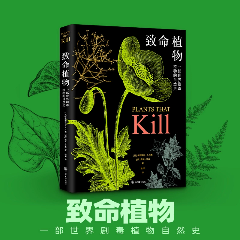 致命女人电视剧全集免费观看_致命女人电视剧免费_致命女人全集在线播放