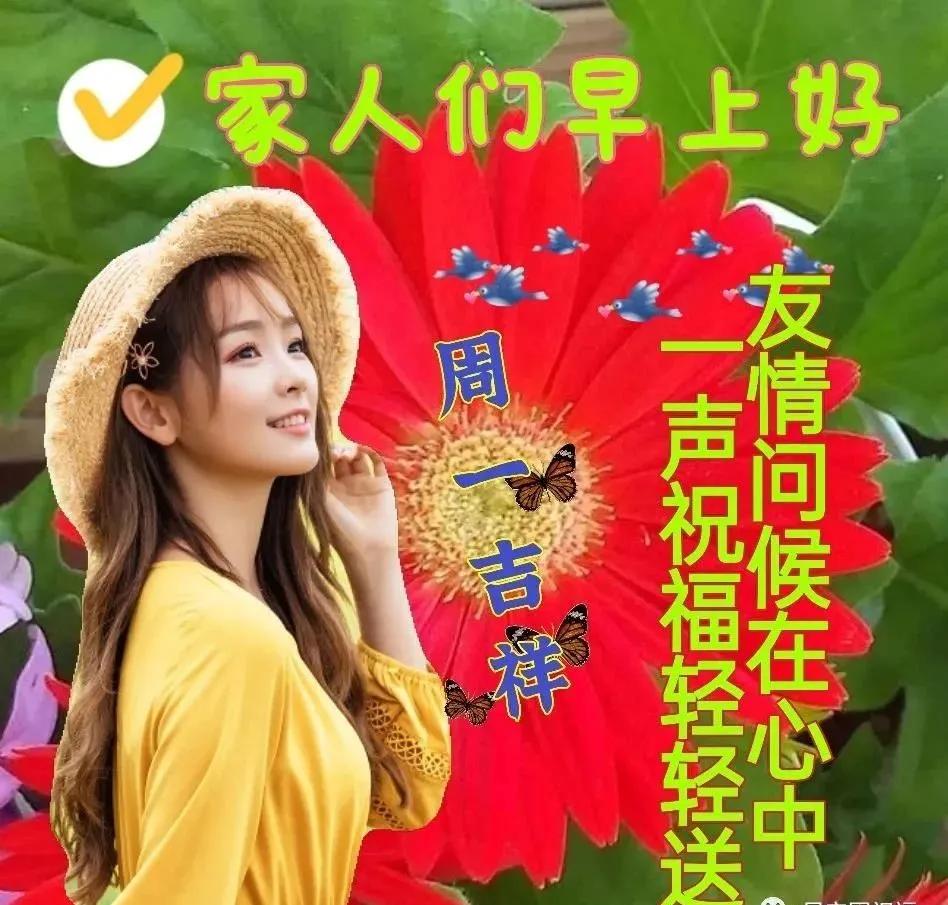 豆奶app下载_下载豆奶分拣_钉钉app下载官方下载