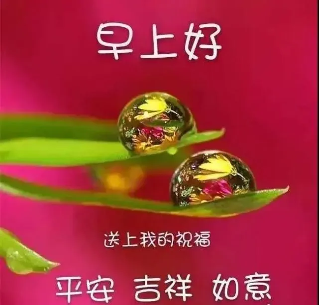 豆奶app下载_钉钉app下载官方下载_下载豆奶分拣