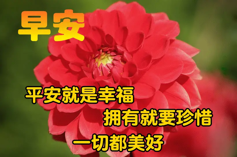下载豆奶分拣_豆奶app下载_钉钉app下载官方下载
