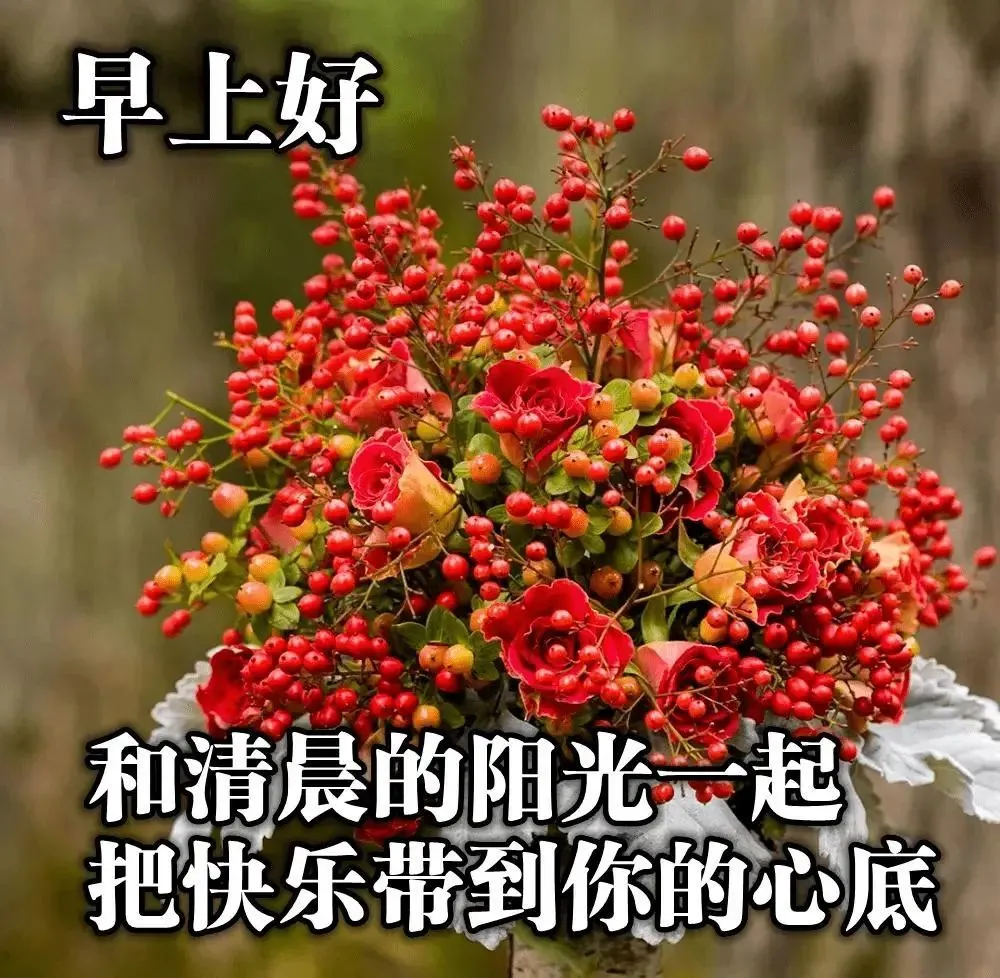钉钉app下载官方下载_豆奶app下载_下载豆奶分拣
