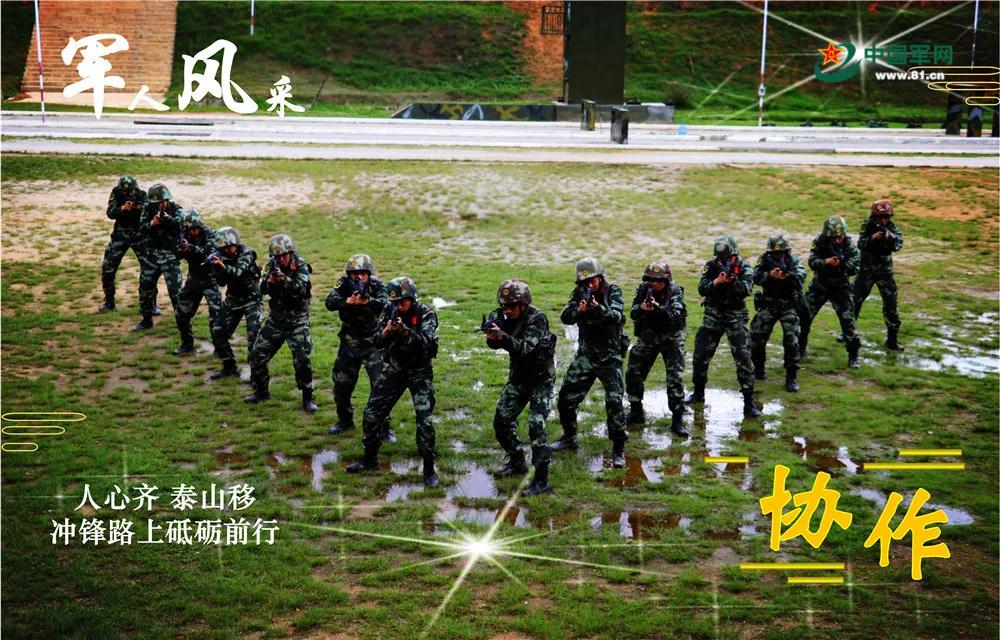 东海帝王和东海帝皇的区别_东海帝王_东海帝王原型