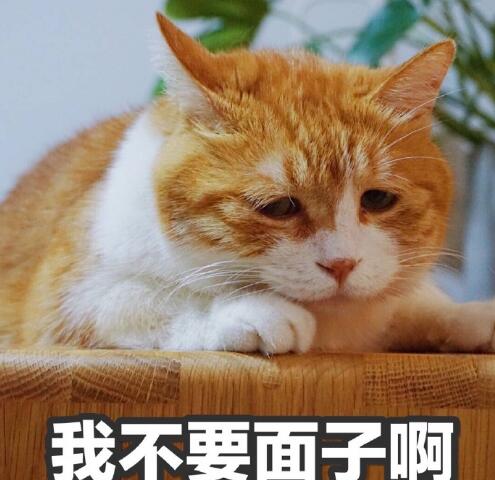 总之非常可爱_可爱呆萌头像_可爱小说