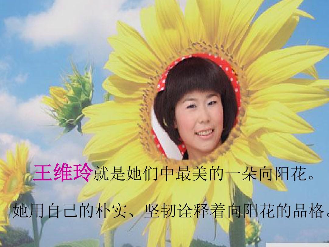 品格电视剧演员表_电视剧品格分集介绍_女人的品格在线电视剧免费全集播放