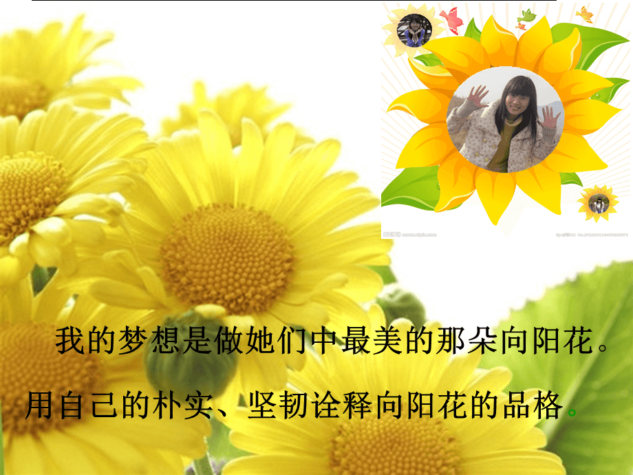 女人的品格在线电视剧免费全集播放_电视剧品格分集介绍_品格电视剧演员表