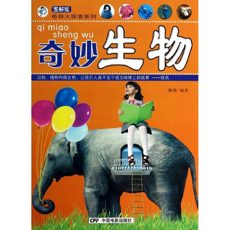 库鲁米_库鲁米图片_库鲁米动画片
