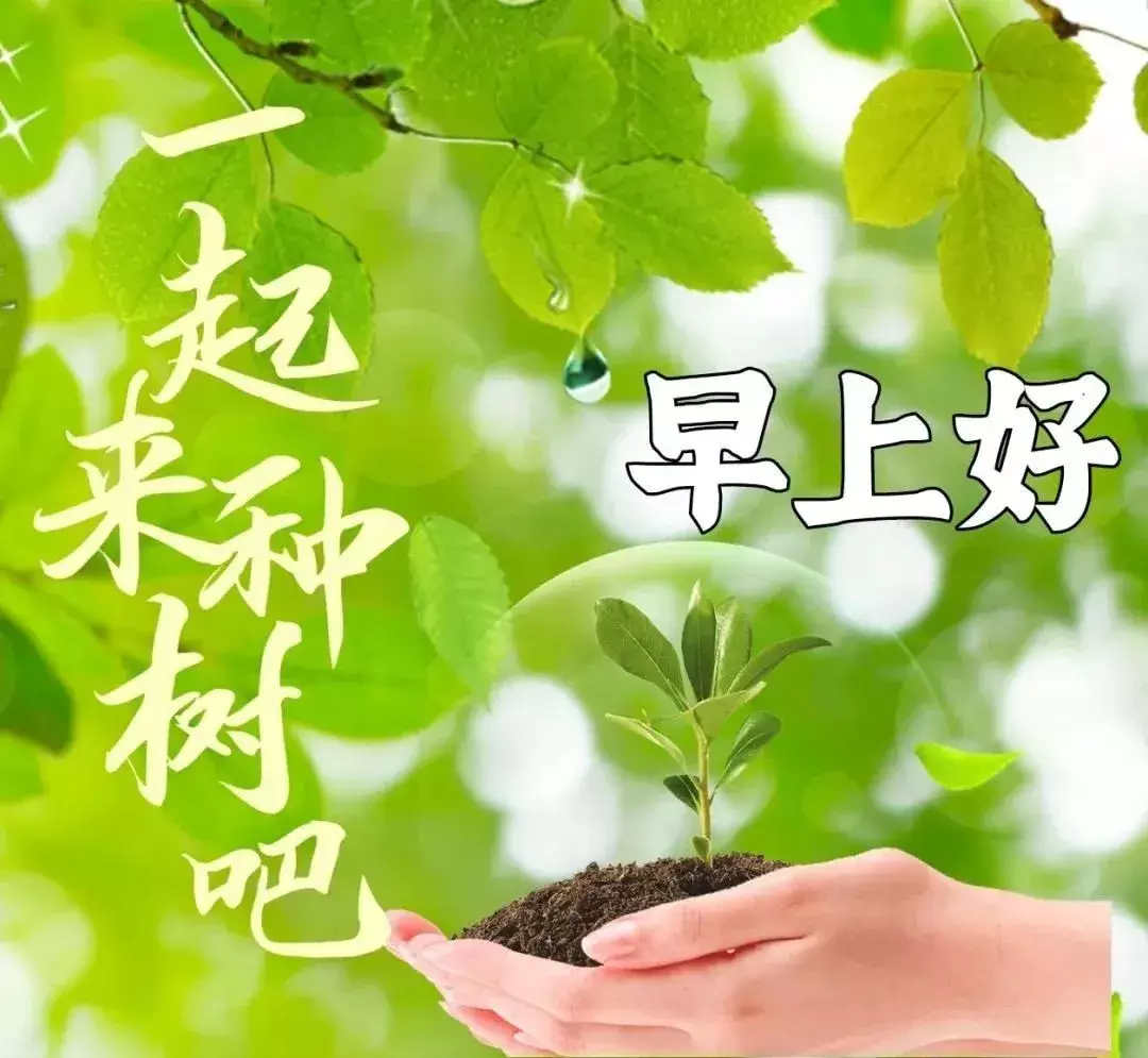 春香未来_春香未来_春香未来