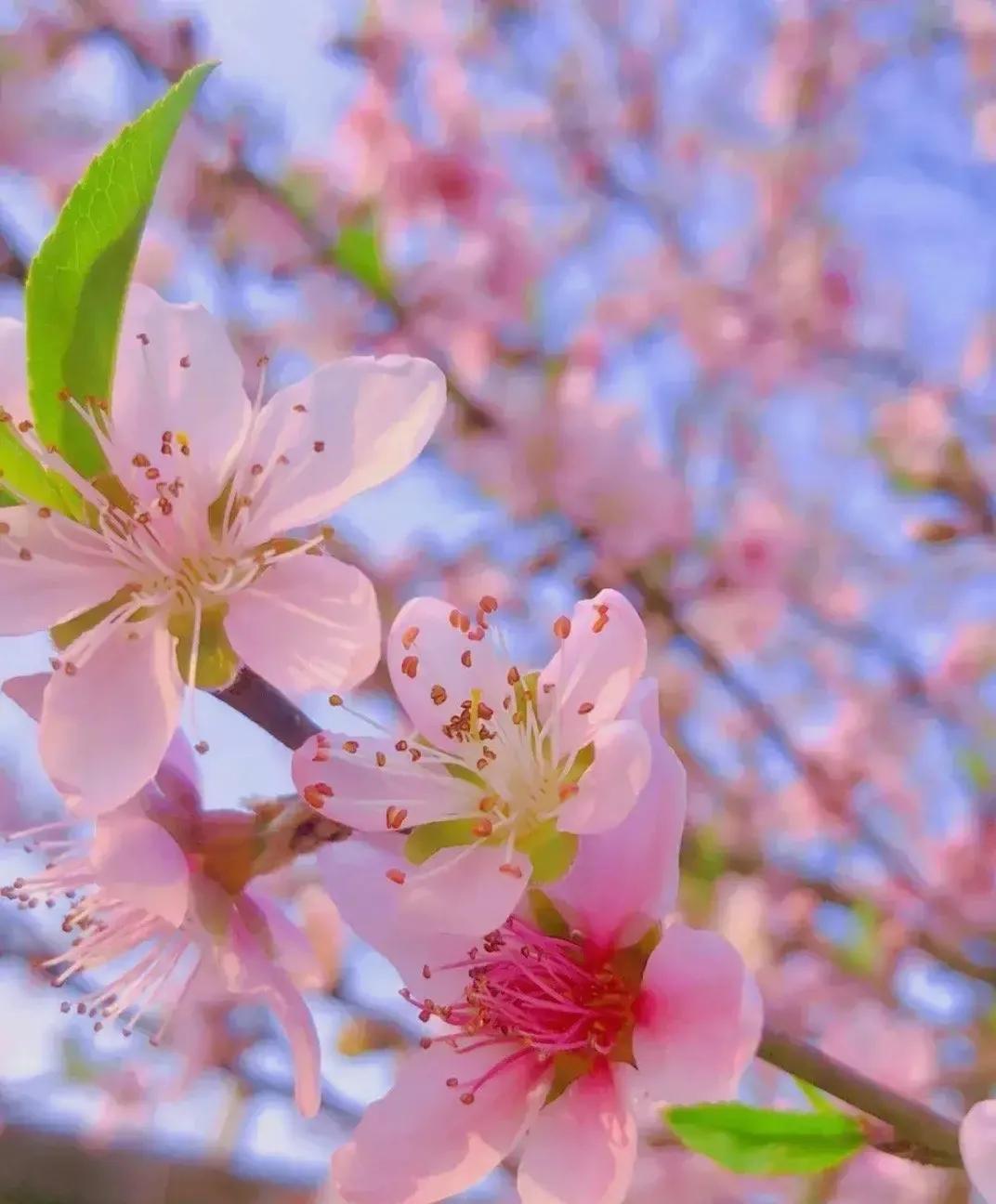 月经过后几天又出血了怎么回事_4月20日_月字旁的字有哪些