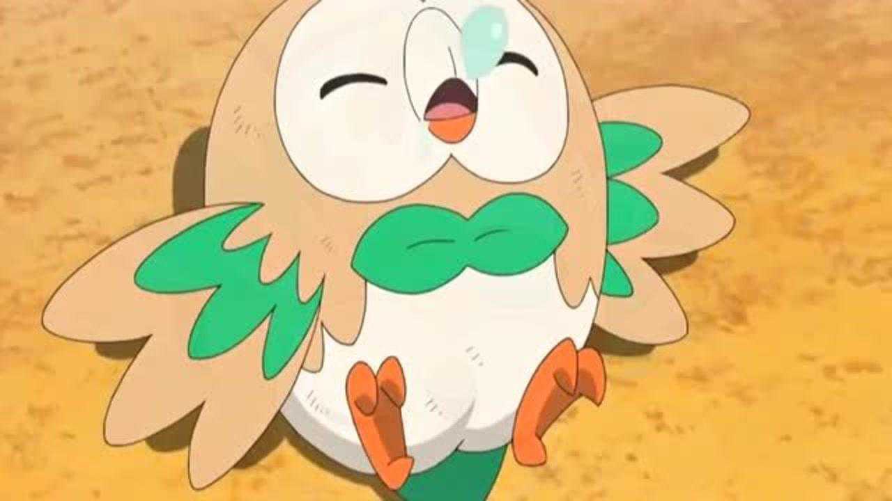 木木枭_木木枭_木木枭