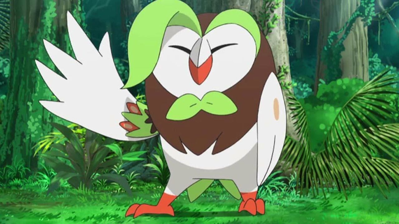 木木枭_木木枭_木木枭