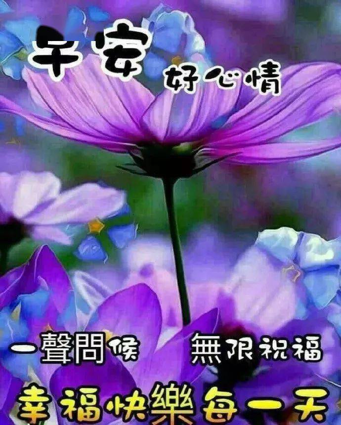 手机游戏骑士故事_骑士故事0.9_骑士故事手机游戏推荐