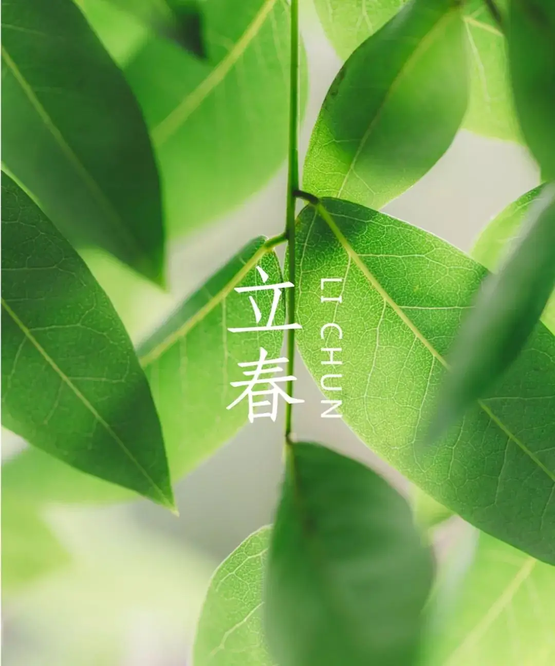 哪些年是闰月年_月日年还是日月年_2023年4月16日