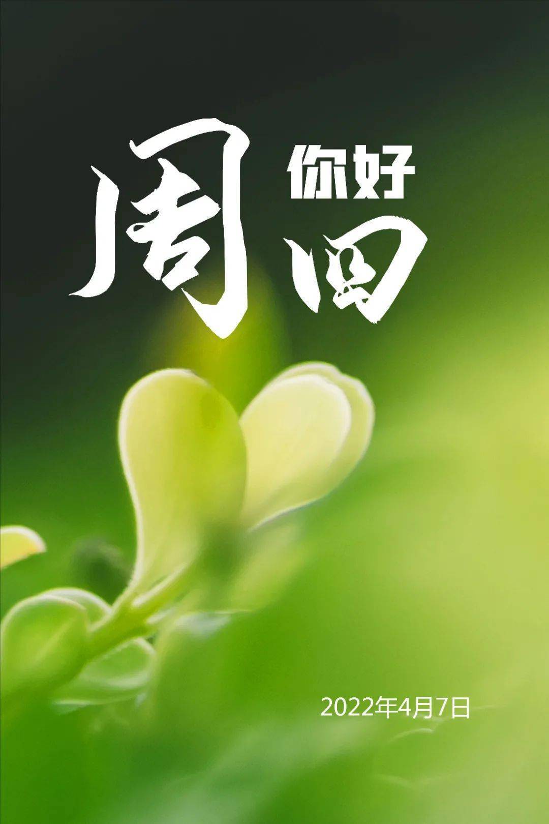 哪些年是闰月年_2023年4月16日_月日年还是日月年