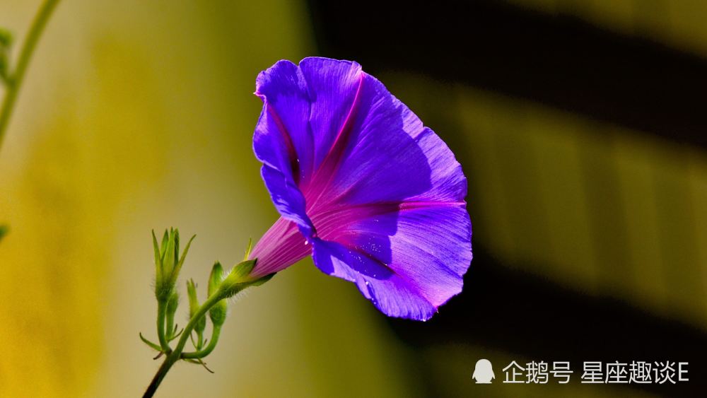 手机腾讯游戏怎么样删除-手机游戏虽诱人，但为节省空间，我不得