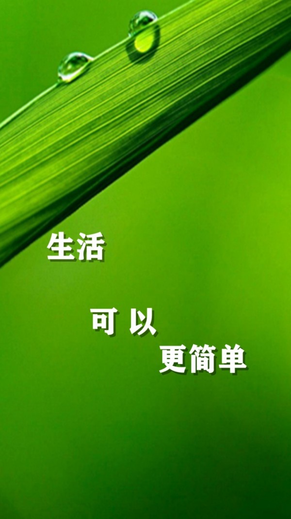 接顺风车单用什么软件_顺风车怎么接单_接顺风车单算营运车辆吗