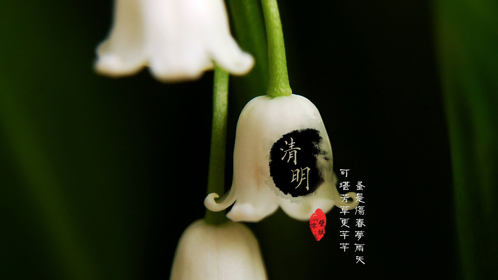 节气月份表_5月节日节气_节气与月份对照表