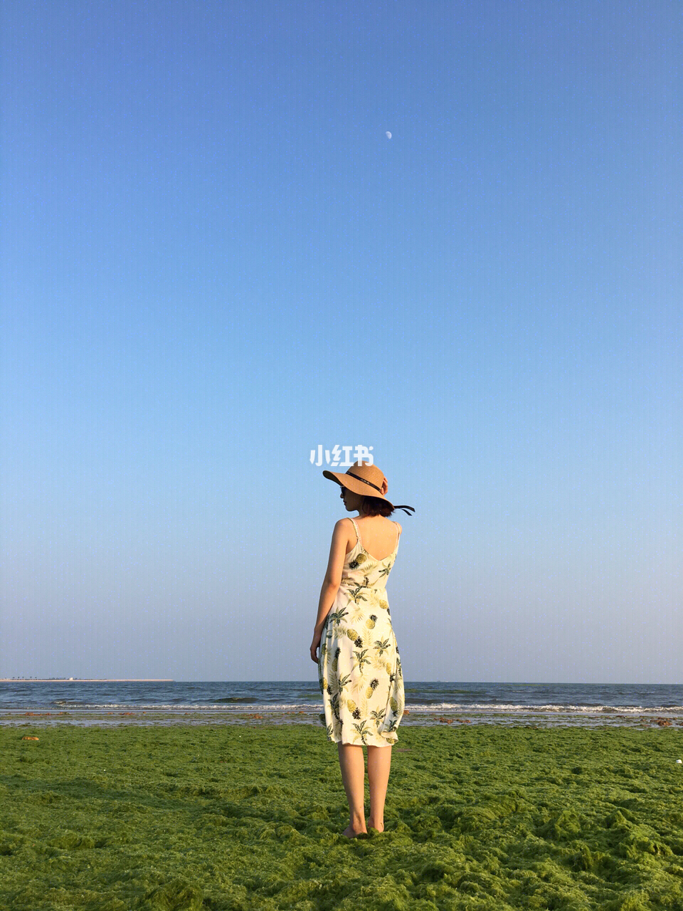 微信怎么发说说_微信发说说的句子_微信发说说文案