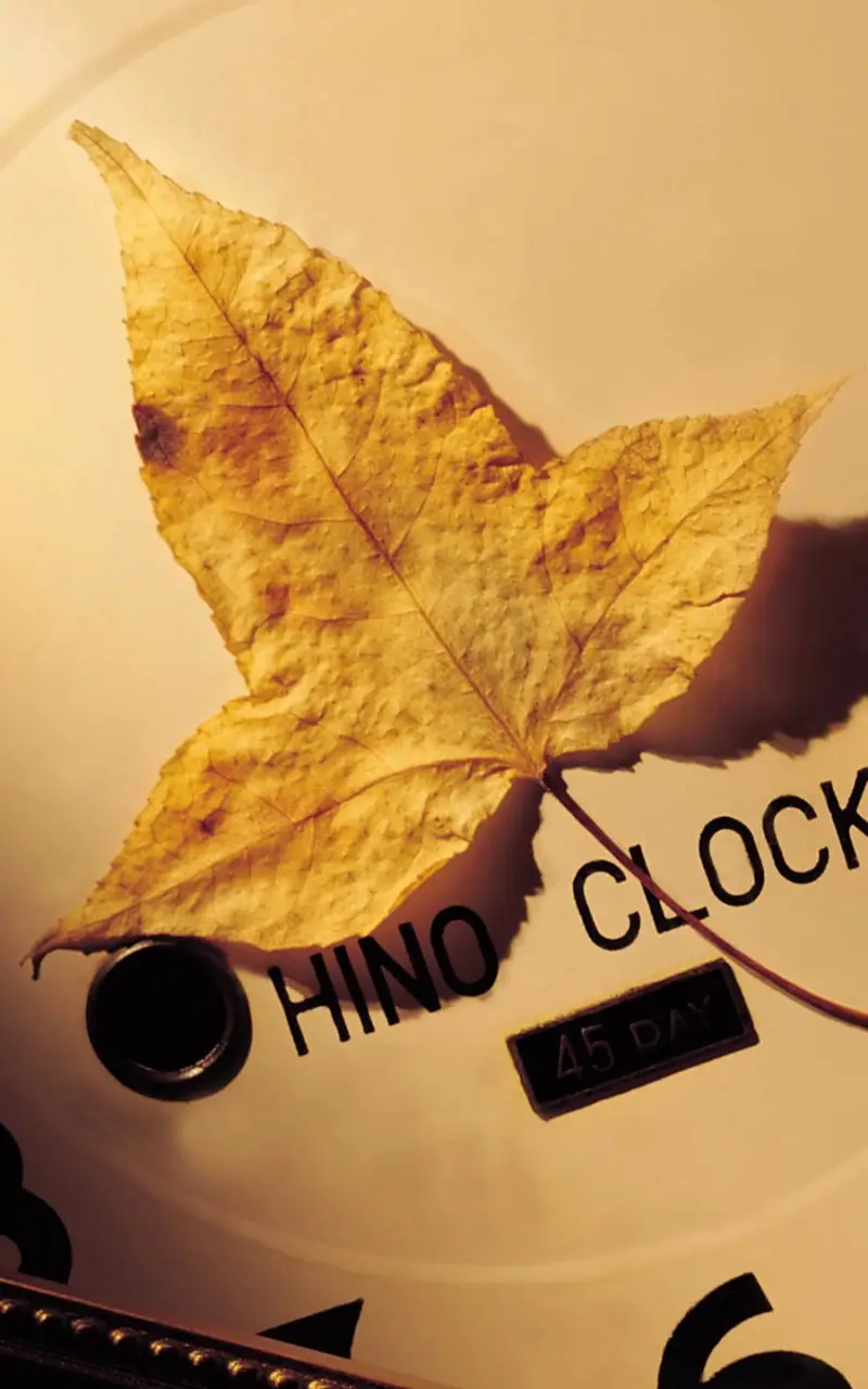 长途大巴手机游戏_长途大巴车手游中文版_好玩的长途大巴游戏