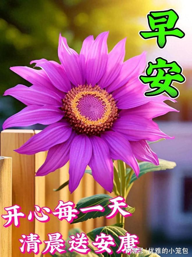 手机游戏闪耀_闪耀手机游戏怎么玩_闪耀手游平台
