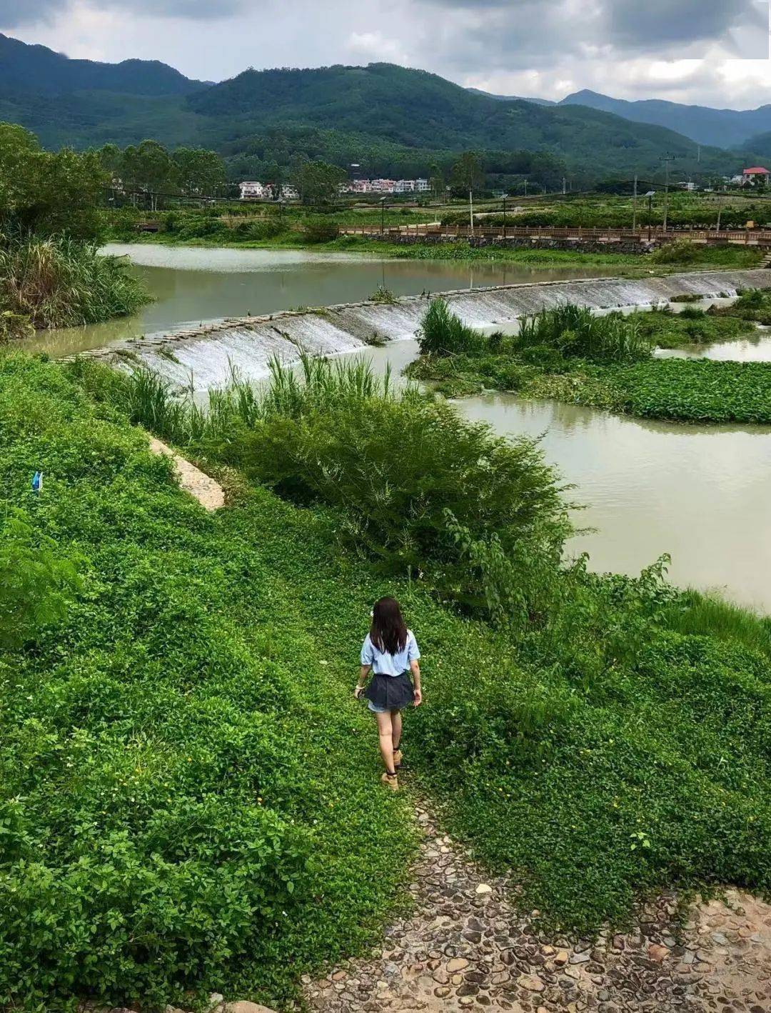 岛村_岛村抱月_岛村卯月图片