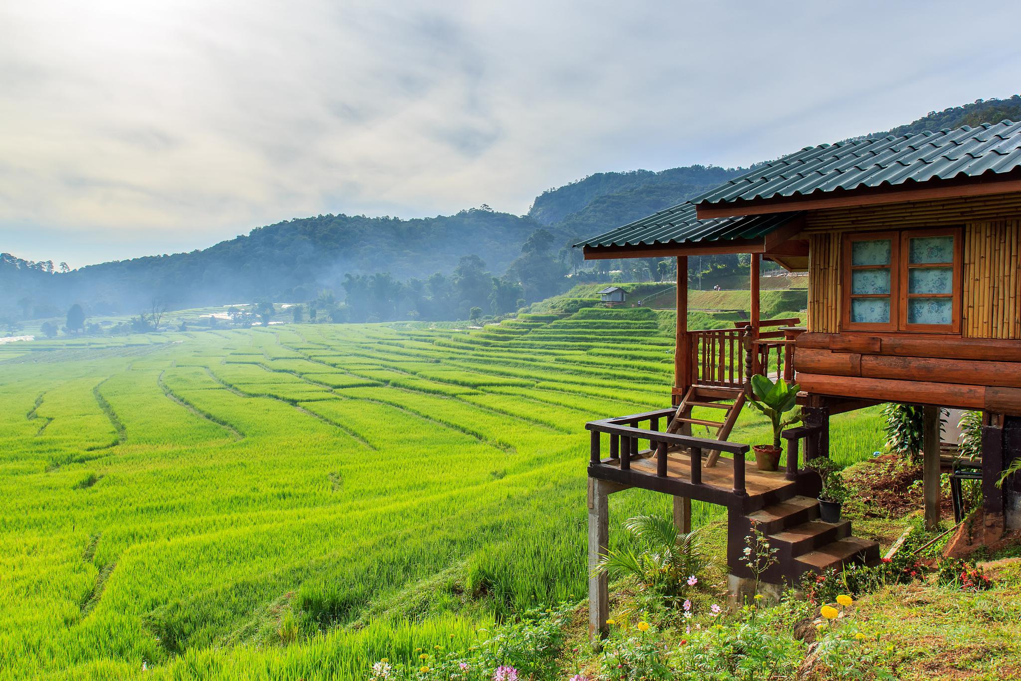 岛村抱月_岛村卯月图片_岛村