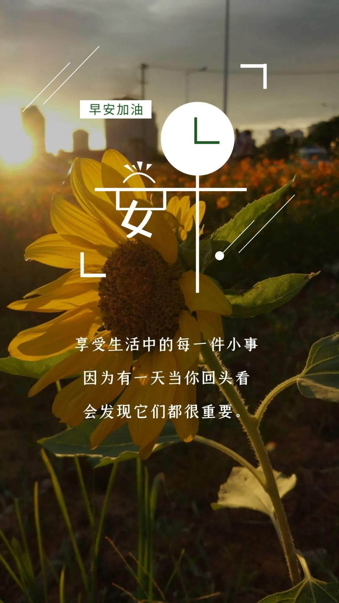 神代凌牙萌娘百科_神代凌牙演员_神代凌牙