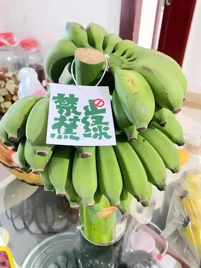 手机虚拟修车游戏-虚拟修车游戏：上班族的兴趣寄托与压力释放新