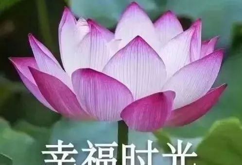 老去小便是怎么回事呀_老去的唯美句子_老去