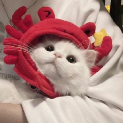 萌翻_萌翻_萌翻