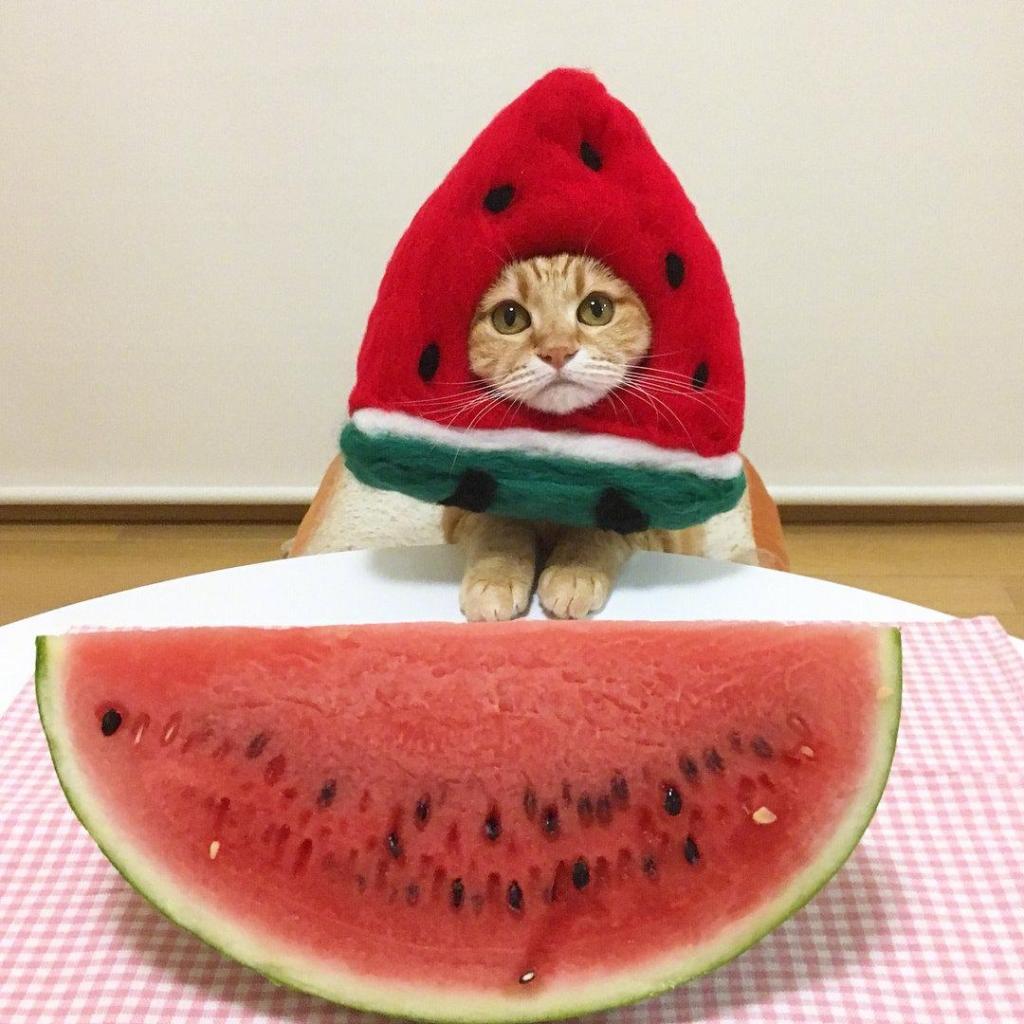 萌翻_萌翻_萌翻