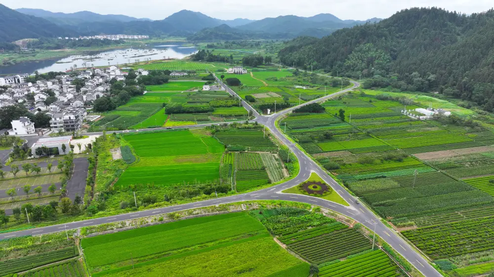 建村的游戏_农村手机游戏_手机游戏建乡村