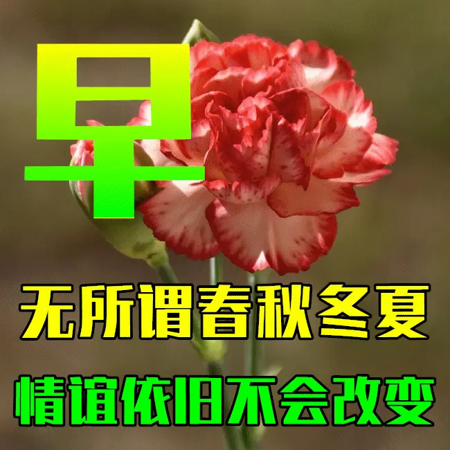 风音日和_风音日和_风音日和