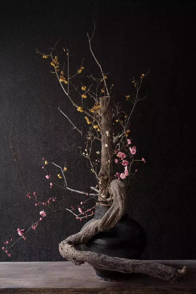 诹访彩花配过的角色_诹访彩花怎么读_诹访彩花