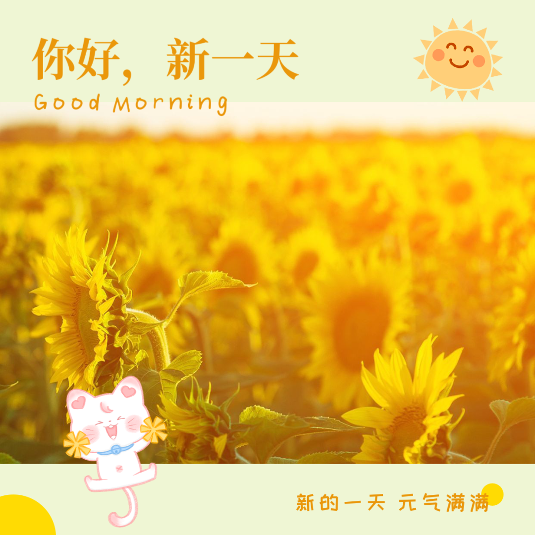 掌门游戏_手机游戏掌门_掌门手机游戏有哪些