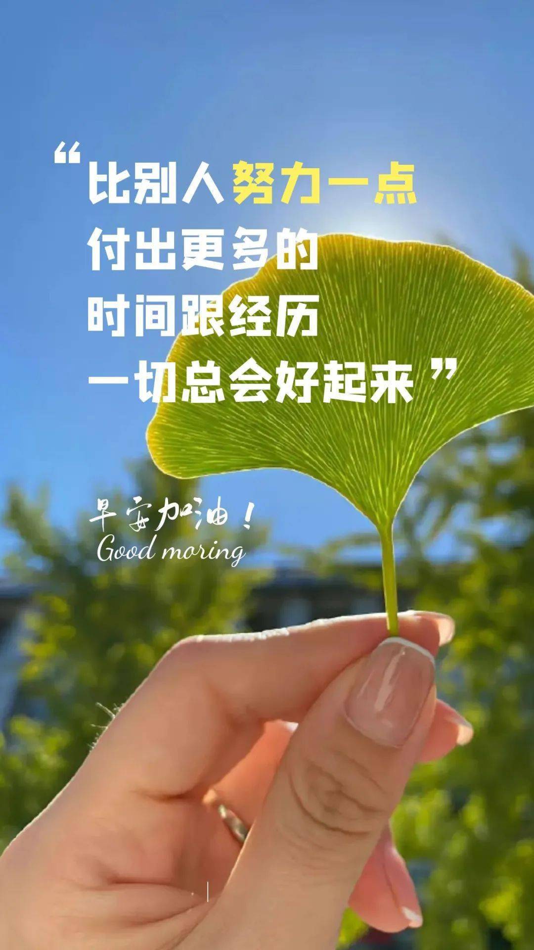 土台_土台是什么意思_土台火影