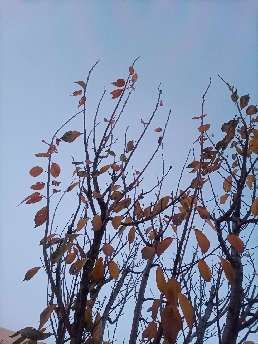 缠绕绳子游戏_缠绕之蛇宣传游戏_手机游戏 缠绕