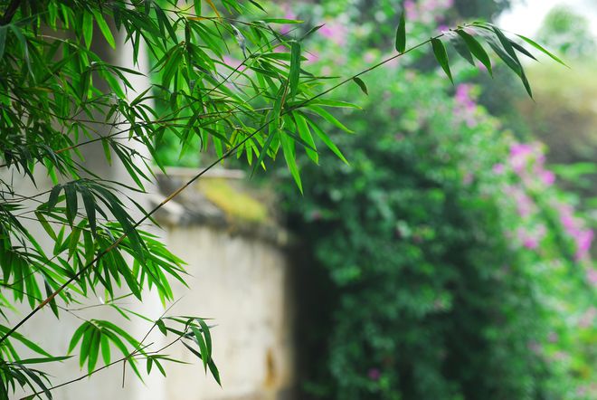 云空间怎么存游戏_弄空间云手机游戏到哪里找_手机怎么把游戏弄到云空间