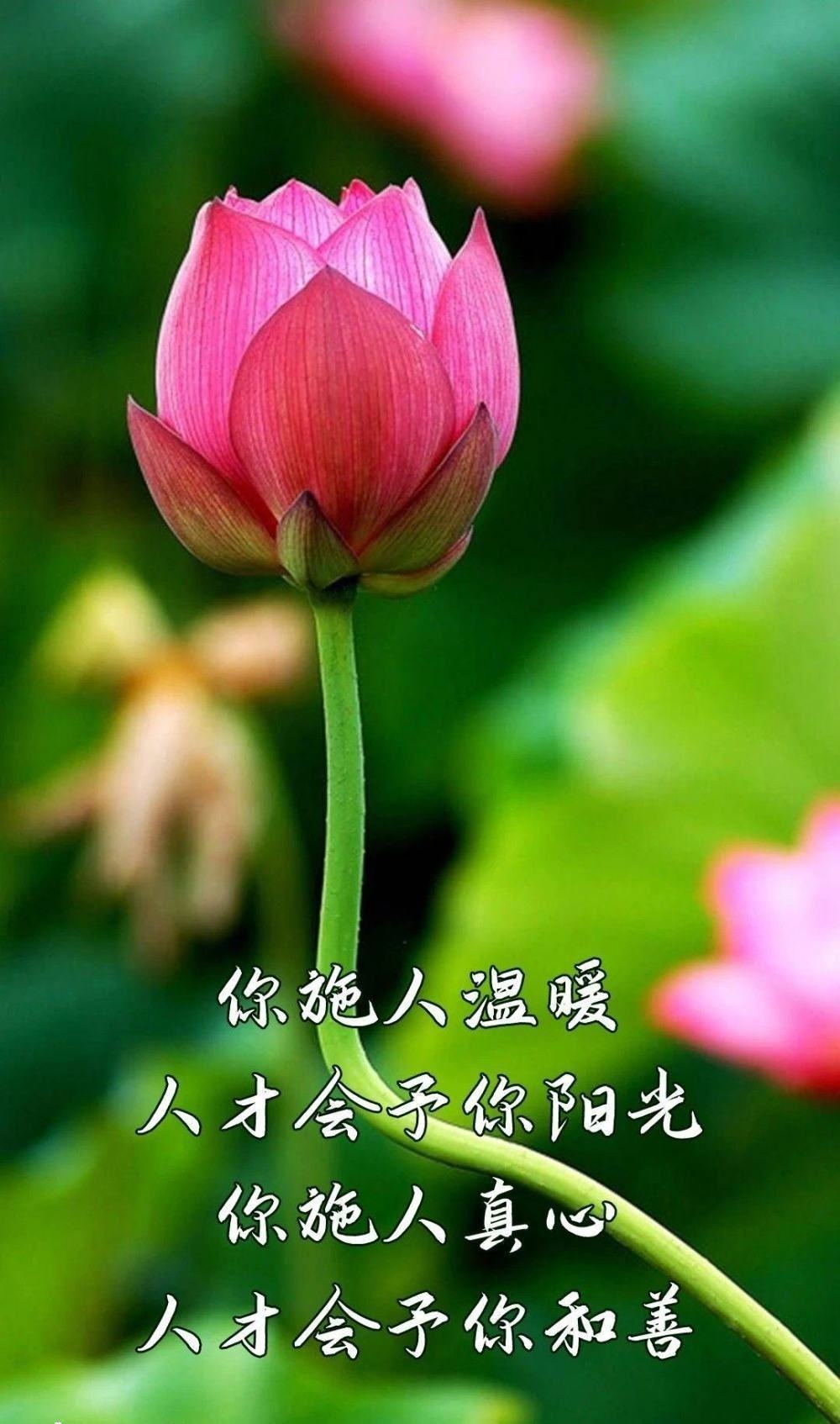 手机怎么把游戏弄到云空间_弄空间云手机游戏到哪里找_云空间怎么存游戏